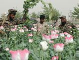 МИД Великобритании: 60% полицейских в афганской провинции Гильменд являются наркоманами