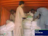 Афганистану кризис не помеха: там собрали почти рекордный урожай опиума