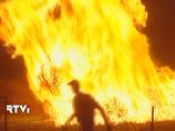 Число погибших от пожаров в Австралии достигло 209 человек