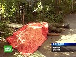 Минобороны: война с Грузией в августе унесла жизни 64 российских военнослужащих Минобороны: война с Грузией в августе унесла жизни 64 российских военнослужащих
