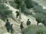 В афганской провинции Логар уничтожен главарь местных мятежников