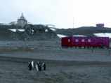 В Антарктиде на станции Беллинсгаузен отметили пятилетие освящения первого православного храма на материке - церкви Святой Троицы