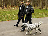 Домашние питомцы Медведева поучаствовали в выставке собак