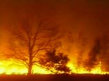 В Австралии вновь бушуют пожары. Под порывами ветра огонь движется к Мельбурну