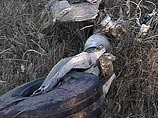 В Краснодарском крае разбился военно-учебный самолет Л-39: летчик погиб