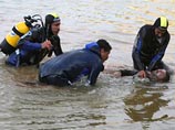 Девять школьниц и двое взрослых мужчин утонули в небольшом озере Зарзар неподалеку от столицы Сирии