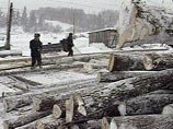 По данным правоохранительных органов края, в 2007 году за счет средств КГУП "Примтеплоэнерго" охотничьим хозяйством "Вепрь" в районе заброшенного поселка Волха Уссурийского района были построены объекты и вырублен лес По данным правоохранительных органов края, в 2007 году за счет средств КГУП "Примтеплоэнерго" охотничьим хозяйством "Вепрь" в районе заброшенного поселка Волха Уссурийского района были построены объекты и вырублен лес