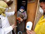 В Египте зафиксирован 60-й случай заражения человека птичьим гриппом