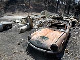 Пожары начались на юге Австралии 7 февраля и продолжались несколько недель. Огонь уничтожил более двух тысяч домов, 7,5 тыс. человек остались без крова