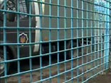 На Тернопольщине милиция задержала четырех подростков, которые из-за нищеты и голода грабили магазины На Тернопольщине милиция задержала четырех подростков, которые из-за нищеты и голода грабили магазины