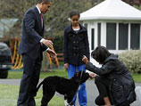 Барак Обама представил журналистам свою новую собаку по кличке Бо