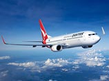 В Австралии потеряли в самолете четырех питонов