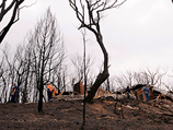 Расположенный в юго-восточном штате Виктория Мэрисвилл был практически полностью уничтожен огнем 7 февраля 2009 года