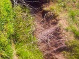 Самозахваты крымских татар достигли военных кладбищ: на могилах солдат строят дома и мечеть Самозахваты крымских татар достигли военных кладбищ: на могилах солдат строят дома и мечеть