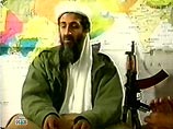 Голландский адвокат добился оправдания Усамы бен Ладена - пока в телешоу