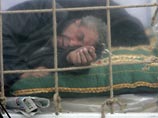 Грузинская оппозиция превращает Тбилиси в "город клеток" Грузинская оппозиция превращает Тбилиси в "город клеток"