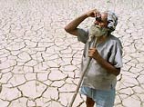 Индии угрожает продовольственная катастрофа. Это может отразиться и на России