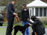 Мишель Обама большую часть времени дрессирует щенка Бо