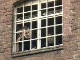 Нургалиев разрешил правозащитникам посещать изоляторы и беседовать с арестантами под контролем Нургалиев разрешил правозащитникам посещать изоляторы и беседовать с арестантами под контролем
