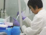 В Испании выявлено 8 случаев возможного заражения свиным гриппом В Испании выявлено 8 случаев возможного заражения свиным гриппом