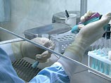 Лабораторные тесты на этих вирусах свиного гриппа A (H1N1) до сих пор показывают, что они восприимчивы (чувствительны) к озельтамивиру и занамивиру