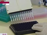 Россия просит США прислать штаммы "свиного гриппа" для исследований Россия просит США прислать штаммы "свиного гриппа" для исследований