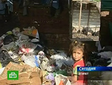 В Египте уничтожат всех свиней, чтобы не допустить эпидемии свиного гриппа В Египте уничтожат всех свиней, чтобы не допустить эпидемии свиного гриппа