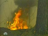 На территории России продолжают действовать более 150 природных пожаров, 495 потушены