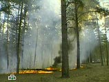 При этом в Дальневосточном федеральном округе действует 15 крупных очагов пожаров на площади 9,9 тыс. га, в Сибирском - 3 очага на площади 0,9 тыс. га, в Приволжском - один на площади 0,4 тыс. га.