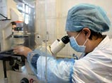 В настоящий момент в ожидании результатов лабораторных тестов находятся более 6 сотен британцев, сдавших анализы на наличие вируса А/H1N1 либо после контактов с инфицированными