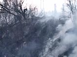 На Дальнем Востоке две с половиной тысячи гектаров заповедных угодий уничтожены огнем На Дальнем Востоке две с половиной тысячи гектаров заповедных угодий уничтожены огнем