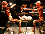 Берлинская экспозиция, названная анатомом "Цикл жизни", представляет собой "иллюстрированный" трупами рассказ о зачатии, рождении, взрослении и старении человека