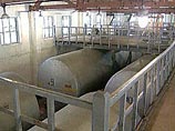 Россия не успевает уничтожить химоружие в срок Россия не успевает уничтожить химоружие в срок