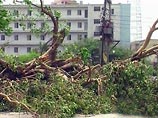 На север Индии обрушился сильный ураган: 27 погибших
