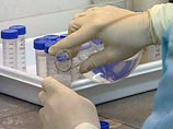 Распространение гриппа A/H1N1 по территории Северной Америки могло начаться вследствие утечки штамма вируса из лаборатории. Такую точку зрения высказал австралийский вирусолог Эдриан Гиббс из Национального университета Канберры Распространение гриппа A/H1N1 по территории Северной Америки могло начаться вследствие утечки штамма вируса из лаборатории. Такую точку зрения высказал австралийский вирусолог Эдриан Гиббс из Национального университета Канберры