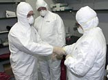 Вспышка гриппа A/H1N1 могла начаться из-за лабораторной утечки Вспышка гриппа A/H1N1 могла начаться из-за лабораторной утечки