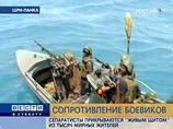 Окруженные "тамильские тигры" готовят массовое самоубийство, чтобы не сдаваться в плен Окруженные "тамильские тигры" готовят массовое самоубийство, чтобы не сдаваться в плен