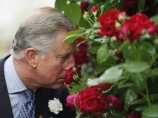 Новый сорт красной розы с запахом цитрусовых  выведен для принца Чарльза