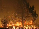 На Дальнем Востоке снизилось число лесных пожаров, но более 16 тыс. гектаров еще в огне