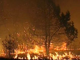 На Дальнем Востоке снизилось число лесных пожаров, но более 16 тыс. гектаров еще в огне На Дальнем Востоке снизилось число лесных пожаров, но более 16 тыс. гектаров еще в огне