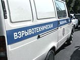 В правоохранительных органах не исключают, что взрывное устройство, от срабатывания которого во вторник пострадала Наталья Луценко и еще несколько человек, могло быть радиоуправляемым