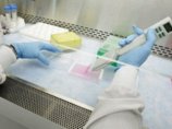 В Нью-Йорке вторая смерть, вызванная вирусом A/H1N1: скончалась женщина В Нью-Йорке вторая смерть, вызванная вирусом A/H1N1: скончалась женщина