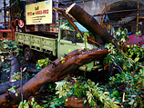 В городе Колката - столице восточного индийского штата Западная Бенгалия - ураган с корнем вырвал деревья, оборвал линии электропередачи, сметал автомобили