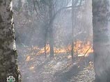 За прошедшие сутки в лесах Забайкалья зафиксировано 24 пожара на площади свыше 5 тысяч гектаров