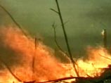 Продолжают гореть 12 пожаров на площади более 3 тысяч гектаров. Полностью потушить удалось 14 пожаров на площади 700 гектаров