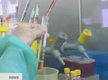 Три новых носителя вируса "свиного гриппа" выявлены в Южной Корее