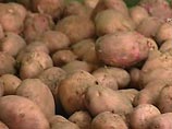 Иранское правительство бесплатно раздало в сельской местности порядка 400 тысяч тонн картофеля