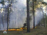 В России продолжают действовать 38 очагов природных пожаров