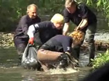 Показывая, как нужно очищать реки от мусора, мэр Лондона провалился в воду