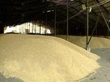 Проверка министерства здравоохранения Египта подтвердила, что российская пшеница полностью соответствует всем требованиям, и несколько дней назад египетские власти сняли арест с 56 тысяч тонн пшеницы, импортированной из России